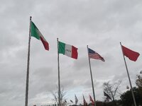 IMG_20221206_094708.jpg
