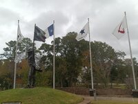 IMG_20221206_094746.jpg
