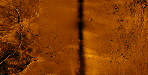 highball_side-scan-1200x611.png