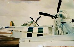 IMG_20221213_112049~2.jpg