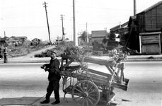 Flower Peddler on Yokohama Road.jpg