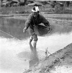 Sewing Rice-Japan.jpg