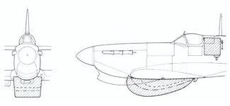 slipper.JPG