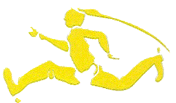 GC-II-4-4eme-Esc.gif GC-II-4-4eme-Esc.gif