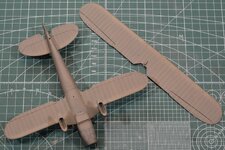 050_He-51 Custom RLM02 Bottom.JPG