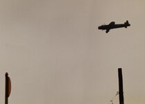 IMG_20230123_144031~2.jpg