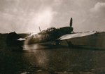 355fg foe Me 109 Trainer_aug1945 [marshall].jpg