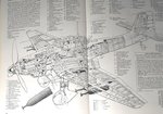 Stuka 003.jpg