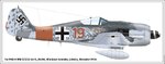 Fw190A8 5JG300 red 19.jpg
