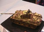 10_Panther_124_0605.JPG