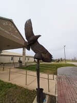 IMG_20230302_085754.jpg