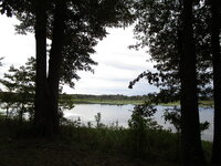 IMG_1487.JPG