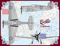 P36 Hawk Southwest Border.jpg