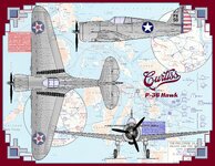P36 Hawk Southwest Border.jpg