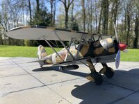 IMG_0715.jpeg