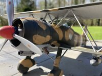 IMG_0729.jpeg