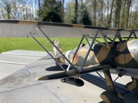 IMG_0726.jpeg