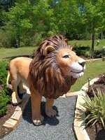 IMG_20230422_141745.jpg