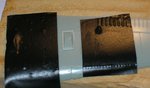 wing3_.jpg