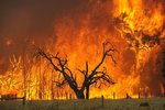 Bushfires Image2.jpg