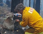 Bushfires Image5.jpg