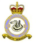 66 Squadron badge.jpg
