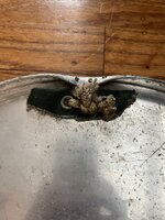 IMG_9602.jpeg