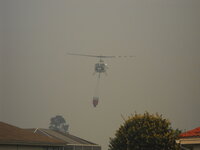 DSCN0350.jpg