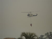 DSCN0363.jpg