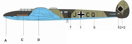 camo1.jpg