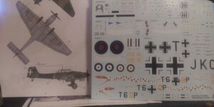 20230613_160438.jpeg