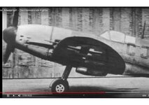 ss4.jpg
