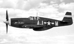 P-51-354FG-356FS.jpg