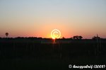 IMG_3026.jpg