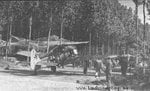 Fw 190A-5.jpg