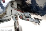 DSC_7894.jpg