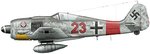 Heinz_Bar_Fw_190.jpg