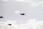 Pearl-Harbor-3.jpg
