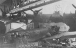 Fw190A8 III JG54 Black5.jpg