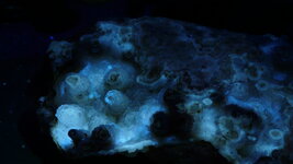 lum6-28 036.JPG