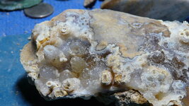 lum6-28 037.JPG