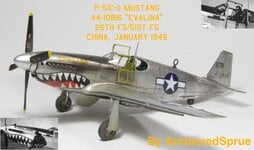 AH_P-51C_Evalina_0001.jpg