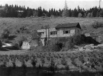 Adlerhorst- Felsennest.jpg