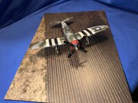 IMG_1069.jpeg