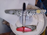 20230821_202935.jpg