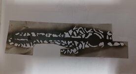 20230822_195422.jpg