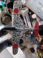 20230825_213731.jpg