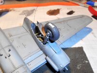 DSCN7125.JPG