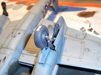 DSCN7126.JPG