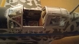 20230908_230430.jpg
